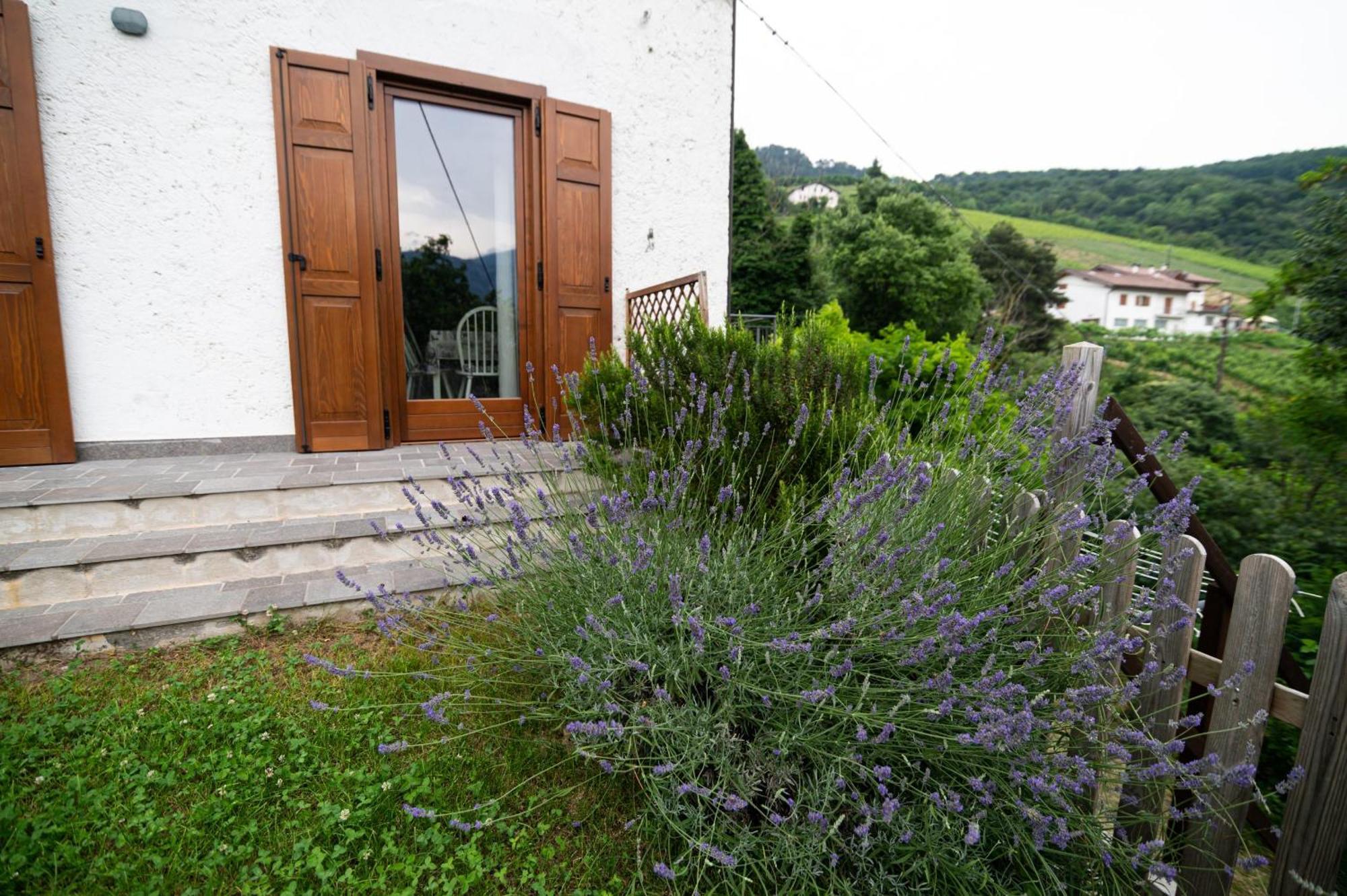 Cottage Lavanda E Rosmarino Лавис Экстерьер фото