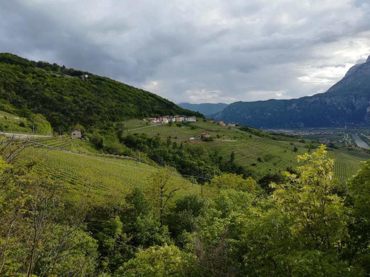 Cottage Lavanda E Rosmarino Лавис Экстерьер фото